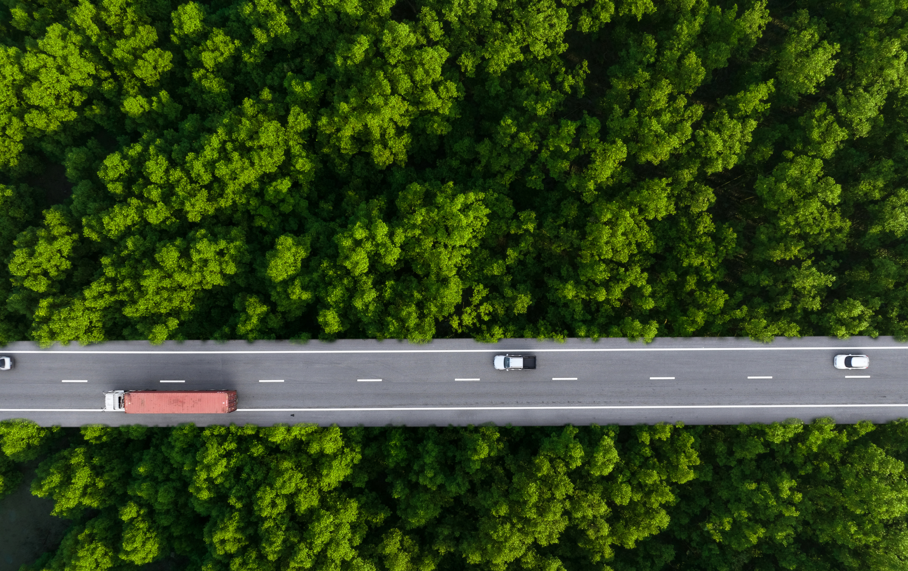 Billede taget fra luften med en vej igennem en skov, hvor der kører en lastbil.